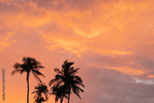 Real photo Nature beautiful background. Morning yellow orange pink clouds palm tree tops silhouette © NOVOZHILOV ANDREI