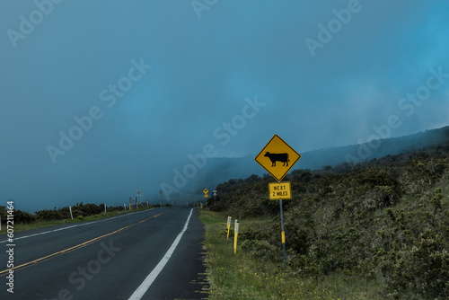 Haleakala Highway in the mist, Maui, Hawaii. foggy
