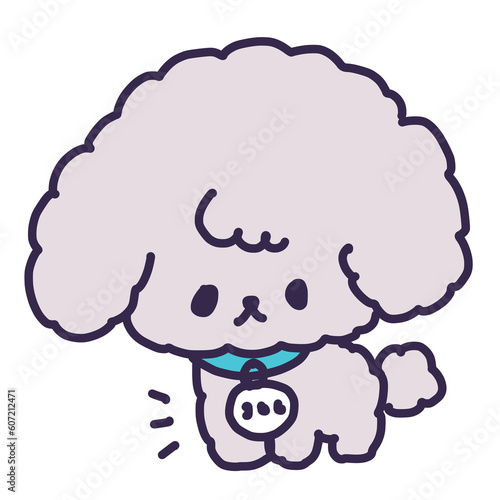 迷子札を首輪に付けたかわいいトイプードルの子犬のイラスト