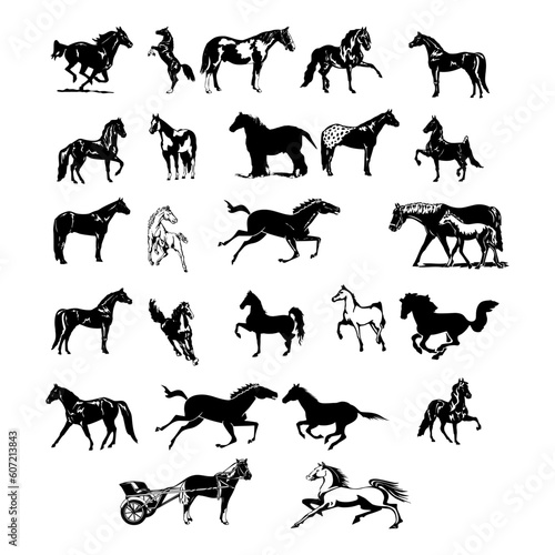 Horses silhouettes set. Collection of animal silhouettes. Farm animals silhouettes collection.