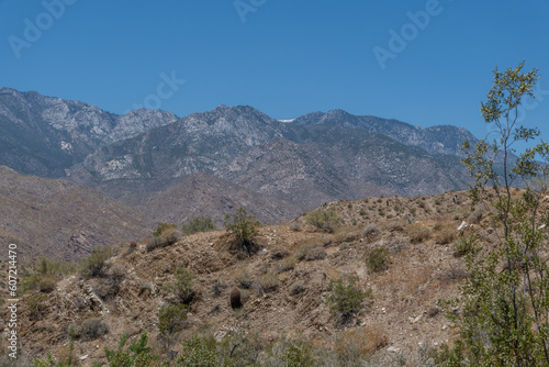 Beautiful desert vista along the east branch of the Palm Canyon trail with snow capped mountain peak at the horizon in Palm Springs, Southern California