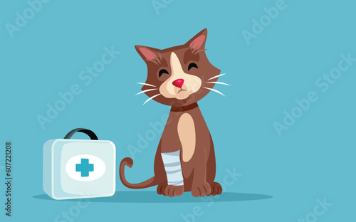 Injured Cat with Broken Leg Vector Cartoon Illustration. Domestic animal having an accident in need of treatment 
