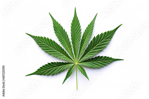 Green Cannabis Leaves Isolated on a White Background. created with Generative AI