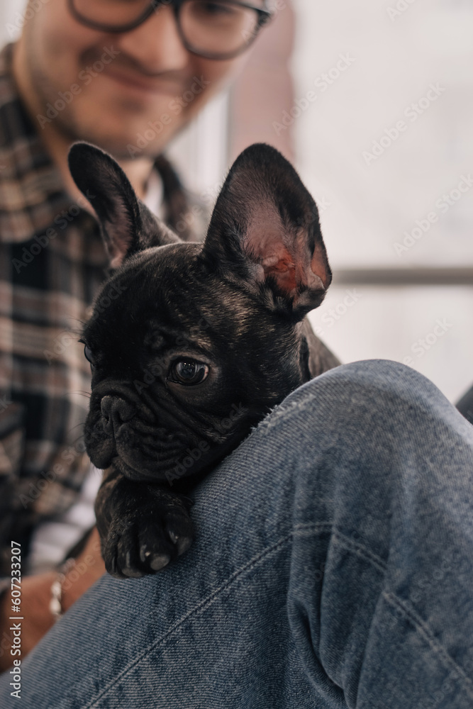A young positive man is holding a puppy, a black French Bulldog, sitting on the windowsill in an apartment.The concept of care, training,raising of animals.Close-up,selective focus.