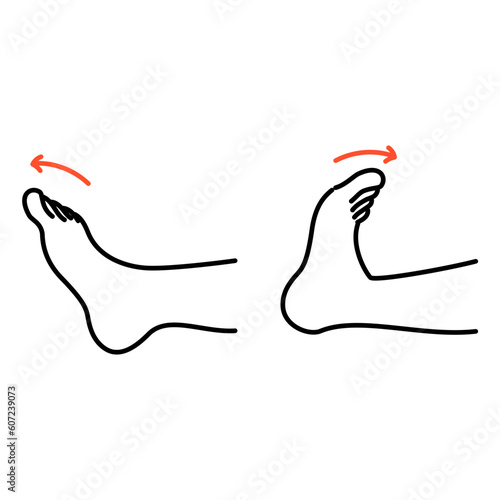 足首を曲げ伸ばしする運動