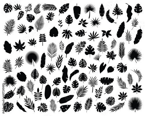 Set of Tropical Leaves Silhouette, Leaves Bundle, Tropical Icons