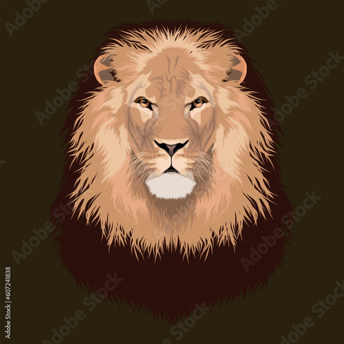Realistic vector portrait of a lion s head isolated on dark background