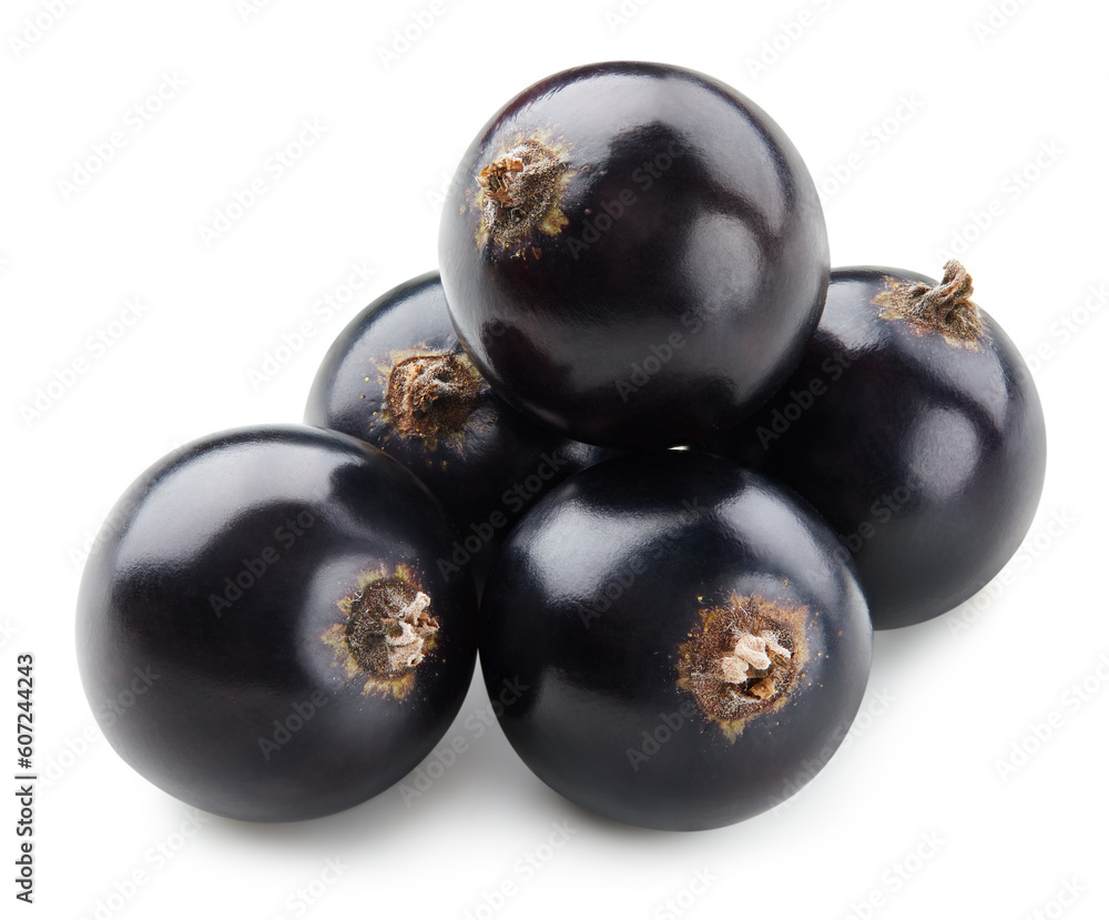 Black currant isolated Black currant isolated