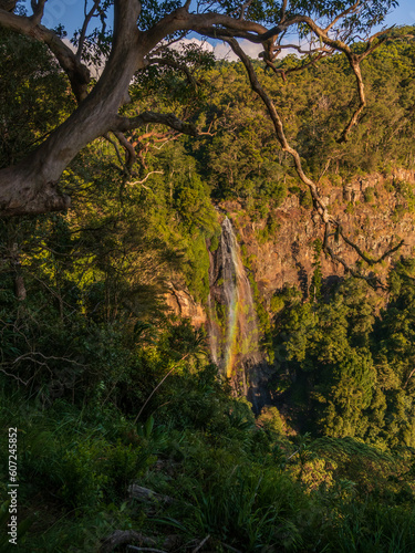 waterfall in the forest vertical orientation