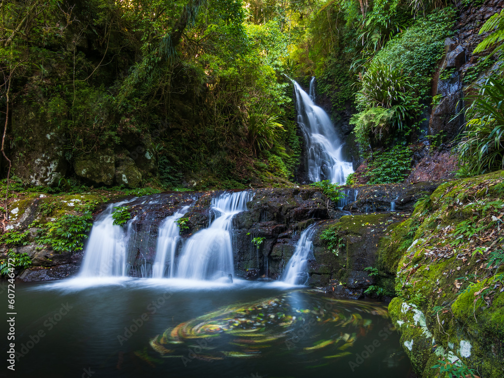 Fototapeta premium Rainforest Waterfall