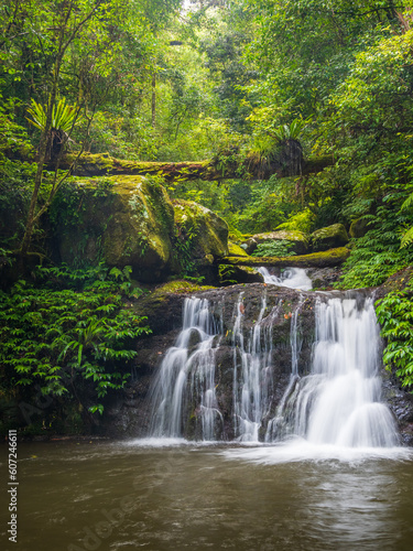 Forest Waterfall Vertical Orientation