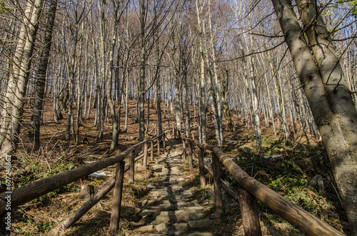 Fototapeta Naklejka Na Ścianę i Meble -  Szlak turystyczny 