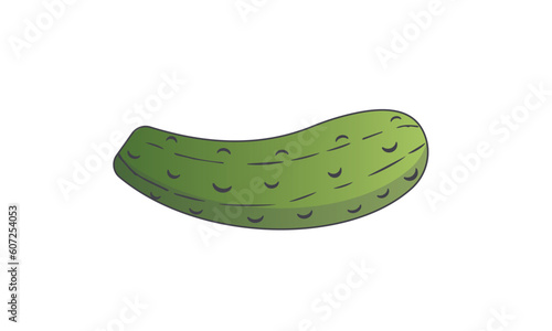 cucumber isolated on white background. Green pickled cucumber