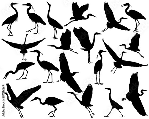 Collection of silhouettes of heron or egret birds