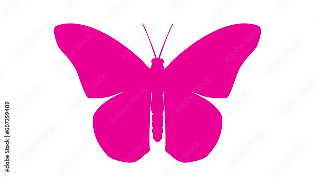 Animated pink butterfly flaps wings. Looped video. Flat magenta vector illustration isolated on white background.
Animated pink butterfly flaps wings. Looped video. Flat magenta vector illustration isolated on white background.