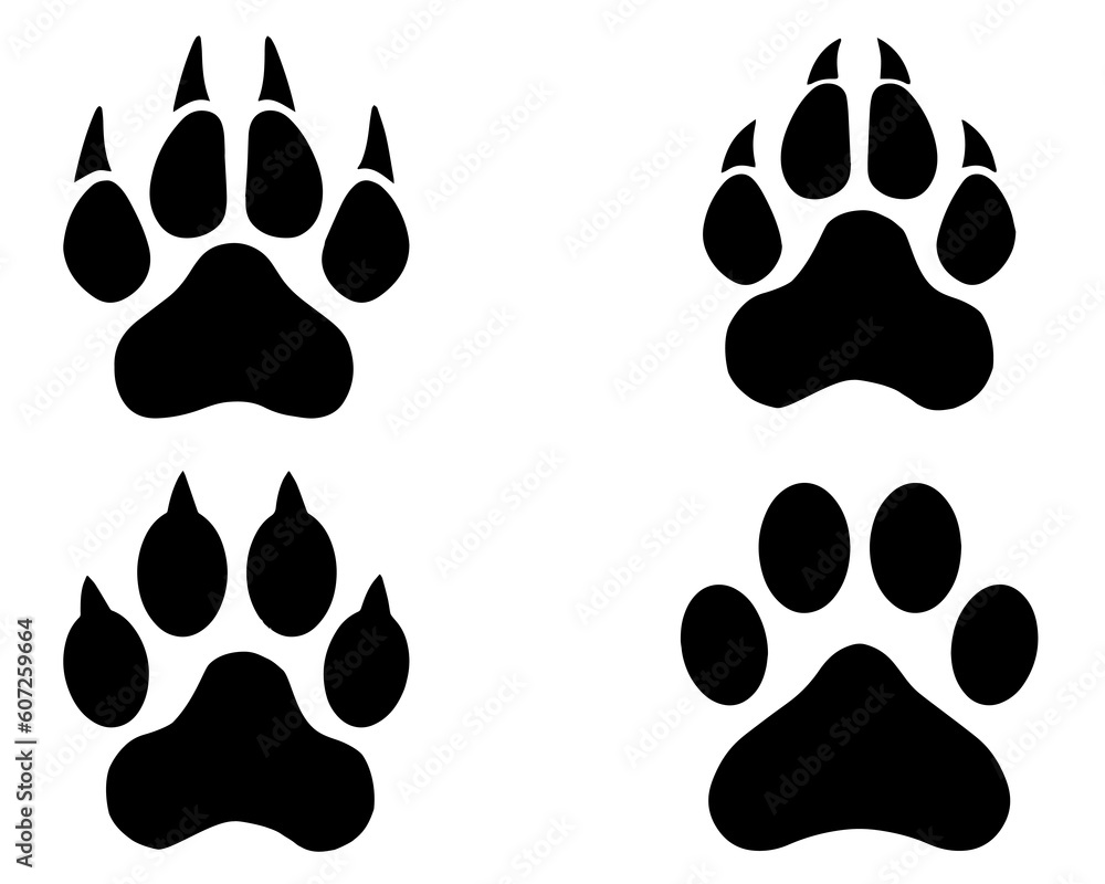 Fototapeta premium Set of Panther Paw Silhouette, Wild Life, Animal Paw