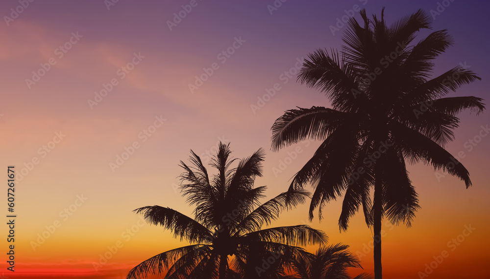 Silhouette image of palm trees leaves on dramatic colorful twilight summer sky background.Image use for travel business and tourist industry background.