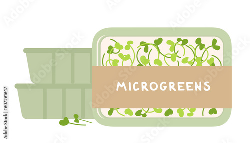 Organic micro green arugula packed in a container