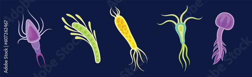 Plankton Water Organism with Tentacles Free Floating on Dark Background Vector Set