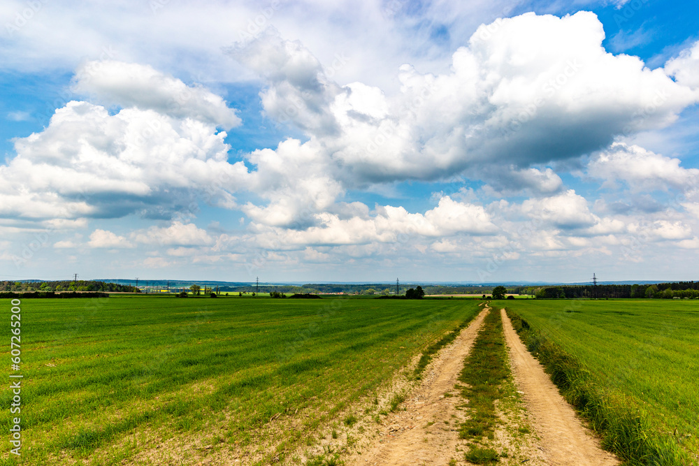 Summer landscape with green fields, road and blue sky with clouds. European countryside.