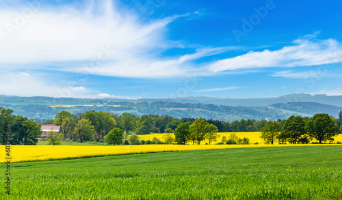 Summer landscape with green and yellow fields. European countryside.
