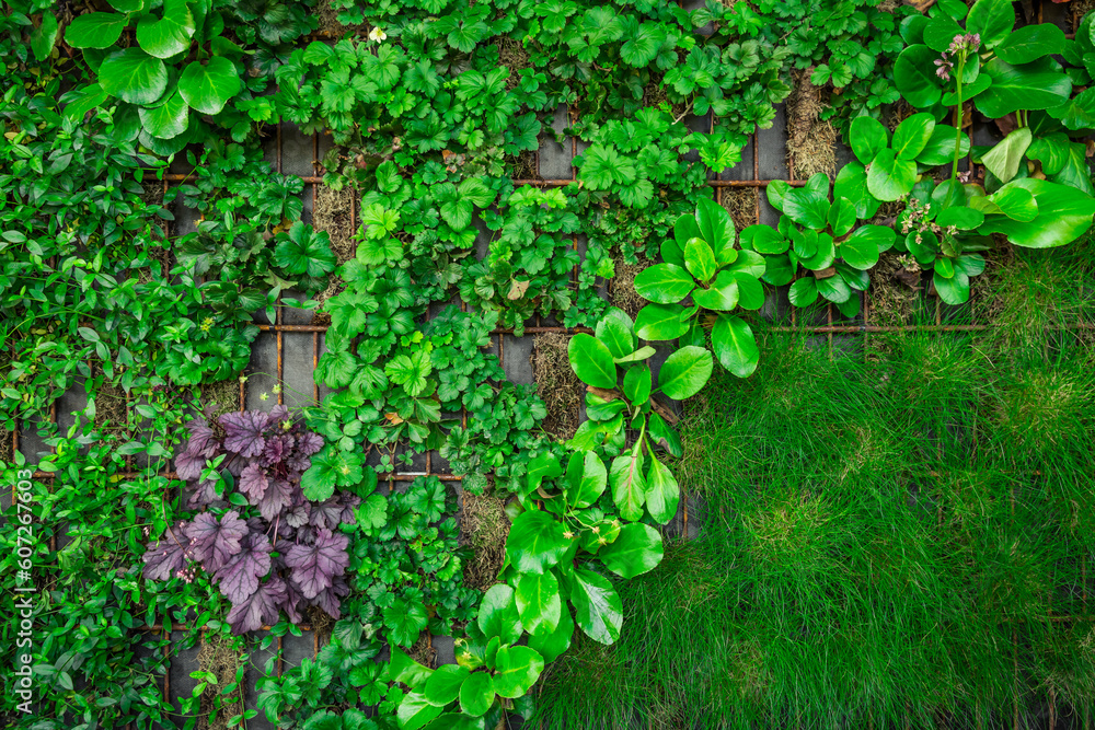 Artificial vertical green garden decoration on the wall. Vertical gardening. Artificial vertical green garden decoration on the wall. Vertical gardening.