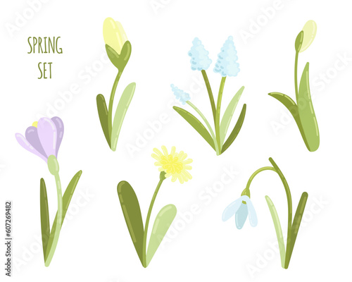 Vector set with primroses and spring flowers. The work is done in delicate pastel colors, suitable for any of your designs and decorations. For stickers, business cards, cards, invitations, greetings