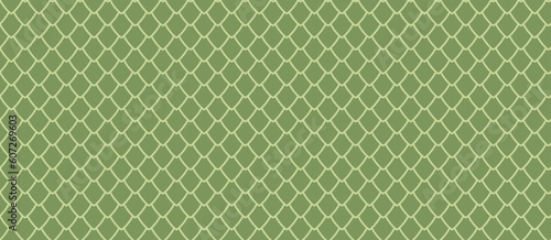 Dragon scale seamless pattern. Snake and reptile squama. Fish, mermaid scale background. Simple abstract dinosaur or dragon skin seamless pattern. Vector white liner illustration on green background.