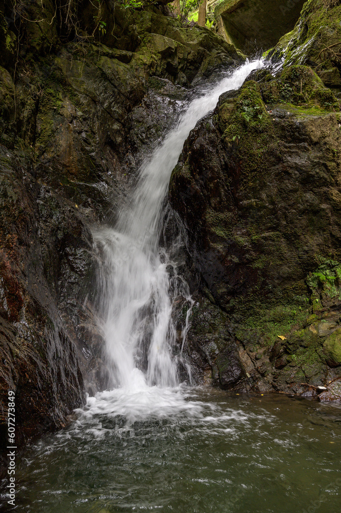 Fototapeta premium 魚帰りの滝（調音の滝公園）