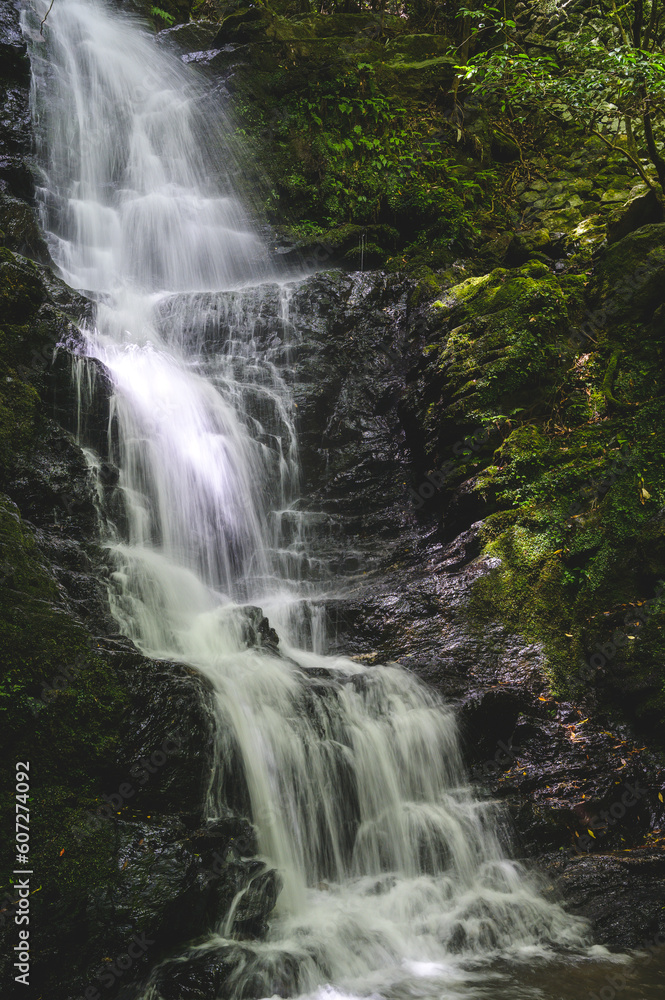 Fototapeta premium 斧渕の滝