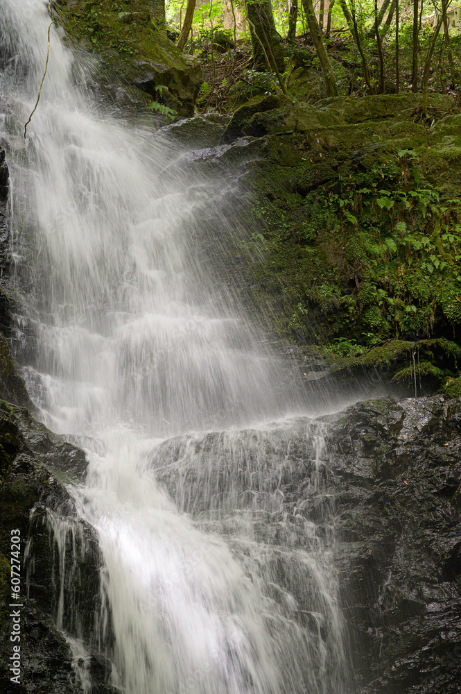 Fototapeta premium 斧渕の滝