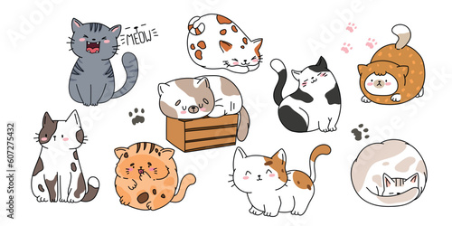 Vector cats. Set symbols. Cute cats