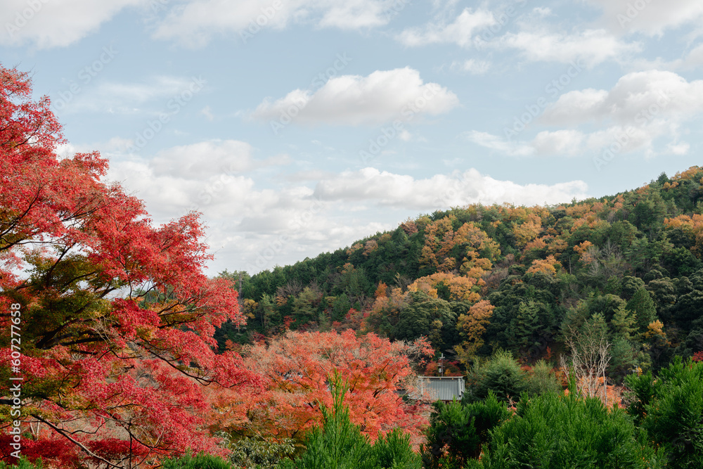 Katsuo-ji temple autumn forest mountain in Minoh, Osaka, Japan