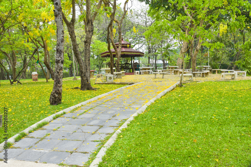 Beautiful landscaping in Chatuchak Park, Bangkok, Thailand Beautiful landscaping in Chatuchak Park, Bangkok, Thailand