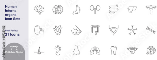 Human internal organs icons set with stomach, kidney, urinary, eyeball, muscle, liver, bone, lung, neuron stroke outline editable