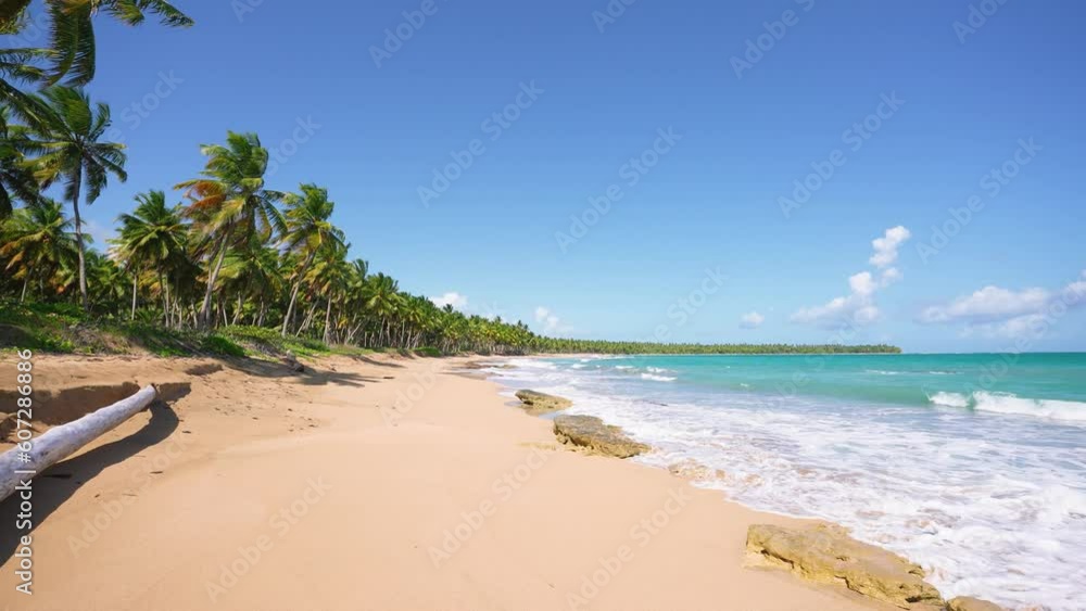 Bright coconut trees on a tropical beach with yellow sand in the Dominican Republic. Sunny summer day on the sea coast. Summer holidays background. Journey to a tropical paradise. Beach for lovers. Bright coconut trees on a tropical beach with yellow sand in the Dominican Republic. Sunny summer day on the sea coast. Summer holidays background. Journey to a tropical paradise. Beach for lovers.