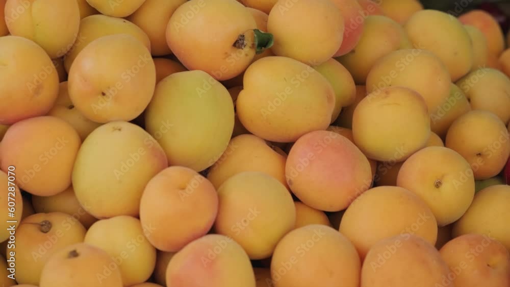 Fresh apricot fruits on a street food market. Farming and agriculture concept. Vegan food Fresh apricot fruits on a street food market. Farming and agriculture concept. Vegan food