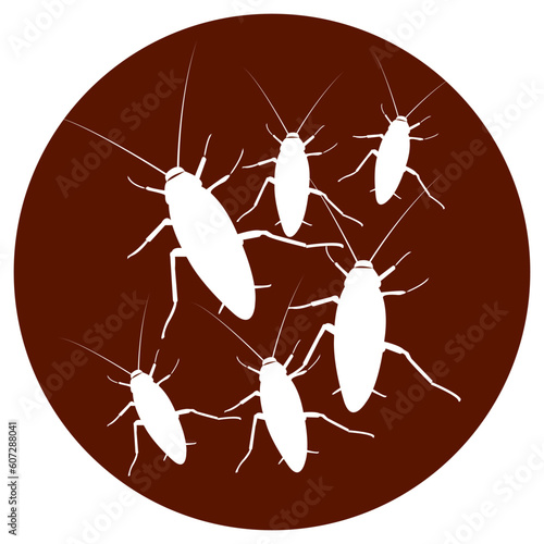 cockroach icon