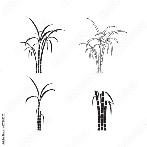 Sugar cane icon