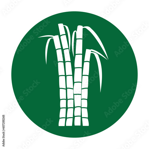 Sugar cane icon