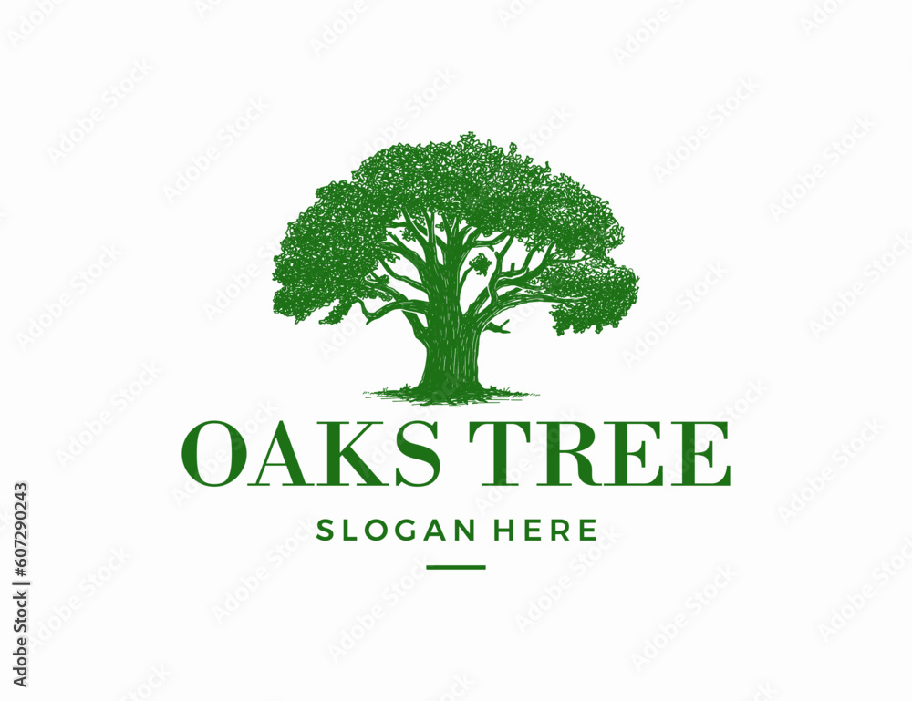 Vintage oak tree logo design vector
