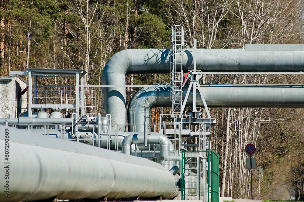 pipeline close-up behind the background of the forest pipeline close-up behind the background of the forest
