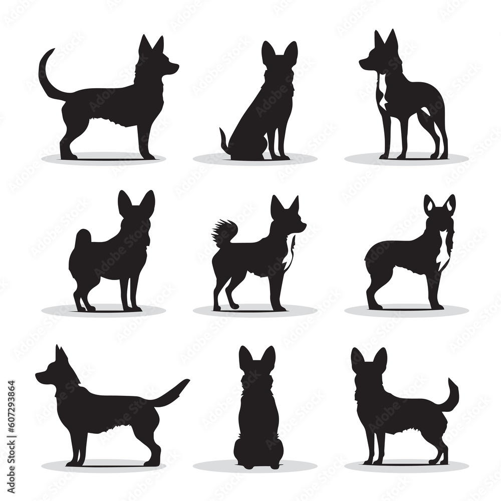 Chihuahua small dog vector icons and silhouettes. Set of illustrations in different poses. Chihuahua small dog vector icons and silhouettes. Set of illustrations in different poses.