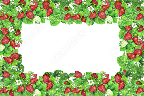 Frame banner from bushes of ripe strawberries with green leaves and white flowers. Watercolor illustration isolated on transparent background.