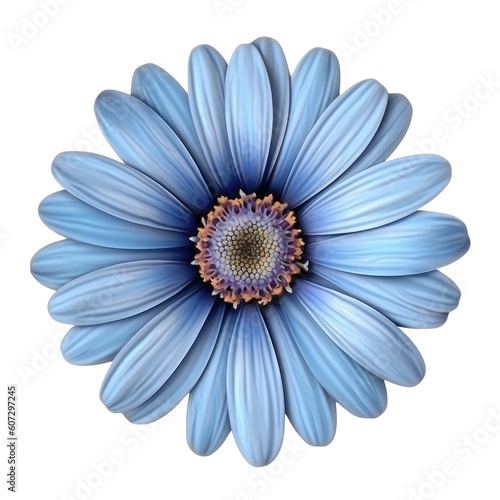 Flower daisy blue flax flora blossom isolated on cutout PNG transparent background. Generative AI © Ivan Guia