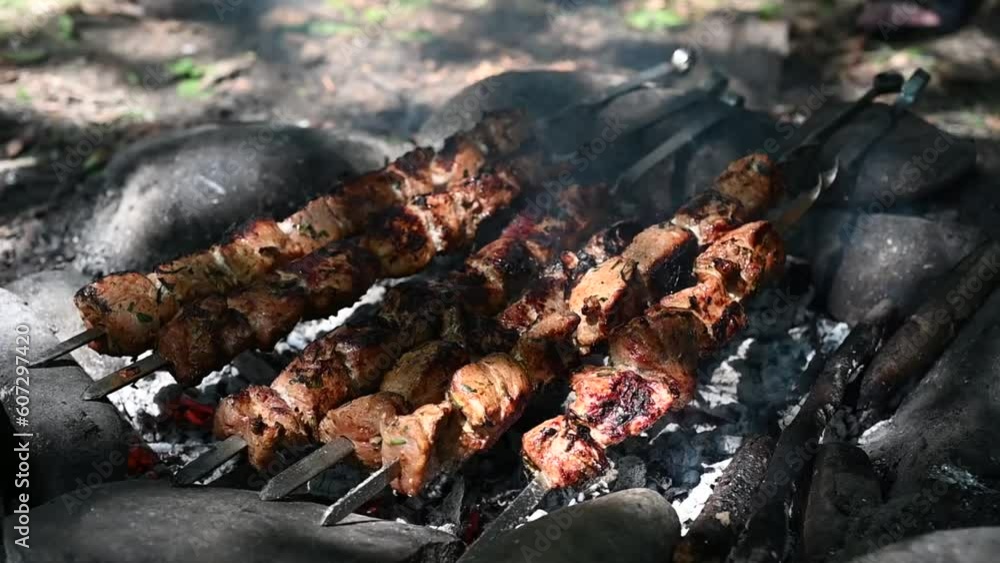 shish kebab on the grill shish kebab on the grill