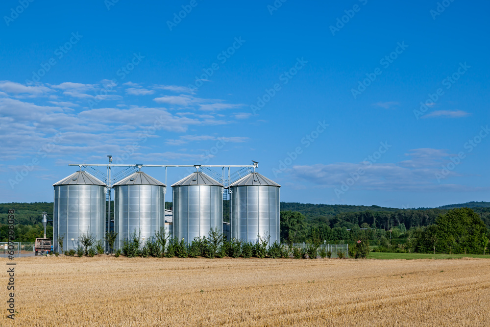 four silver silos in the field after the harvest four silver silos in the field after the harvest