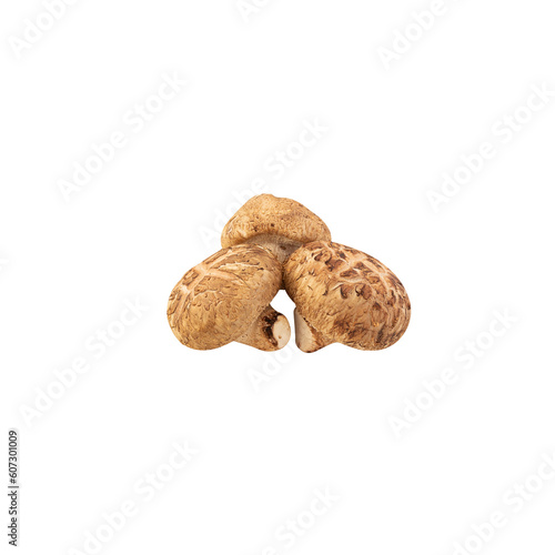 Shiitake mushroom cutout, Png file.