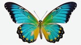 Very beautiful blue yellow green butterfly in flight Generative AI
