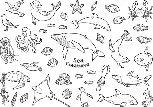 海の生き物　イラストセット　線画